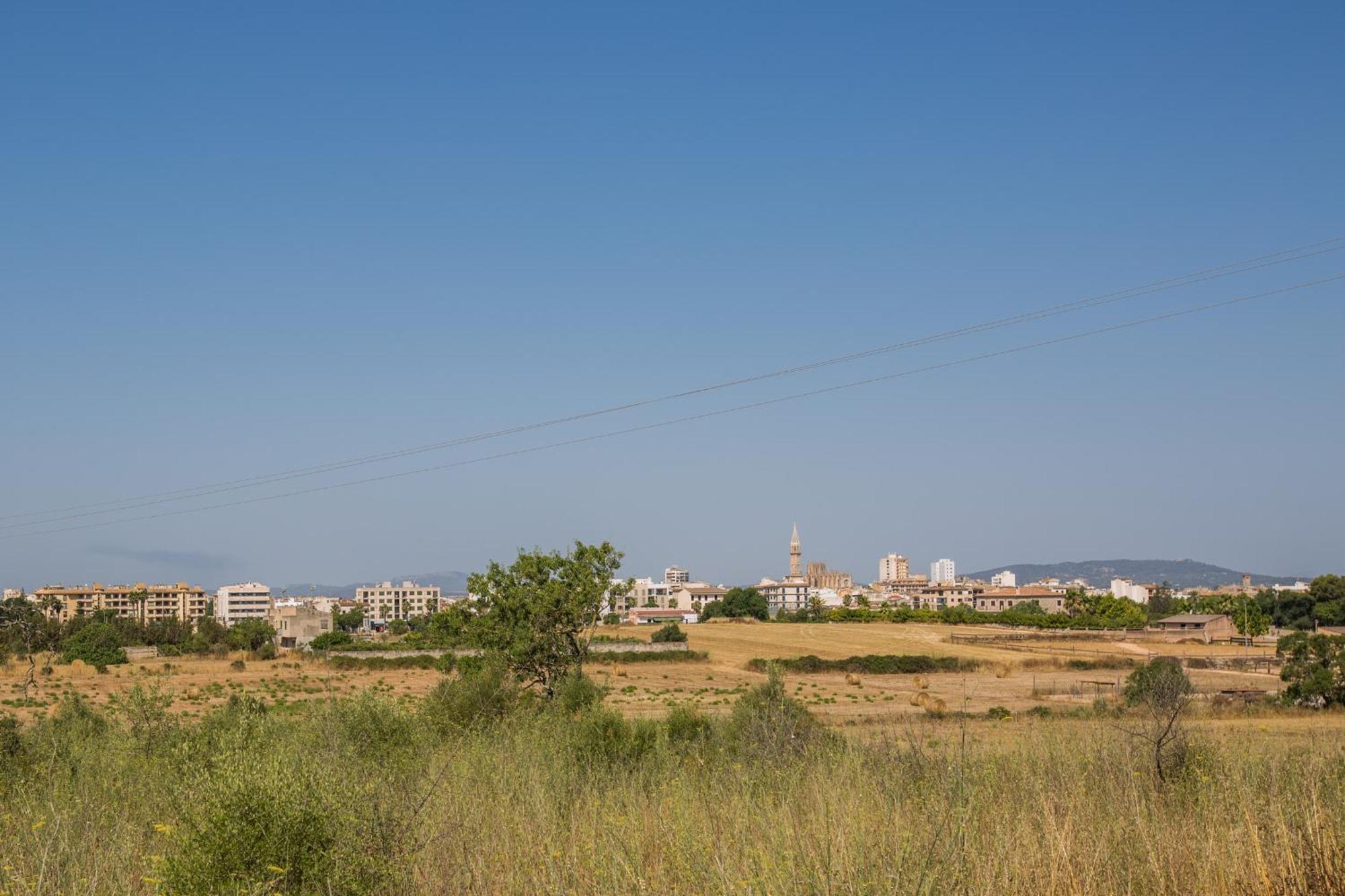 Villa Fernando Manacor  Dış mekan fotoğraf