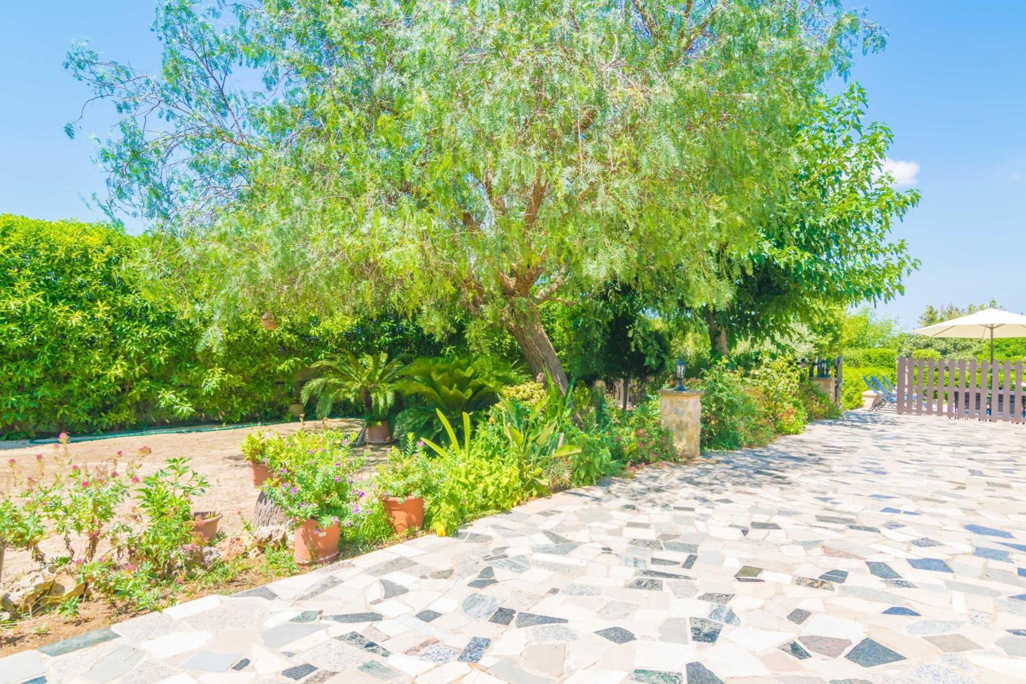 Villa Fernando Manacor  Dış mekan fotoğraf